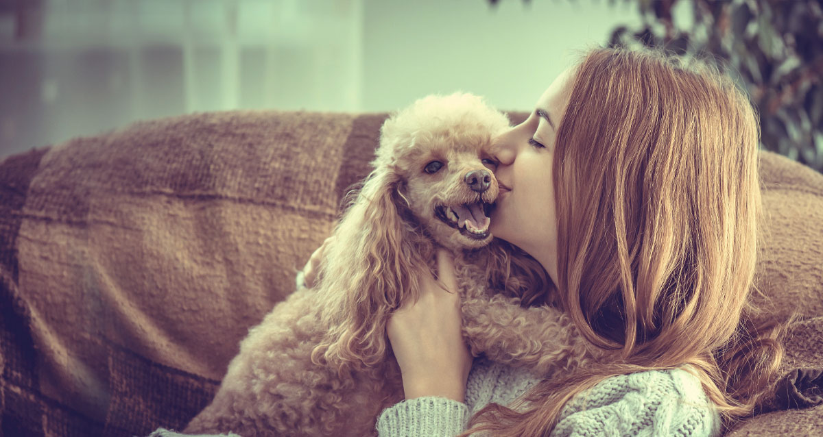 Veterinarian in Richmond Vet Near You Cary Street Vet