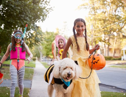 The Addams Family’s Advice on Halloween Pet Safety