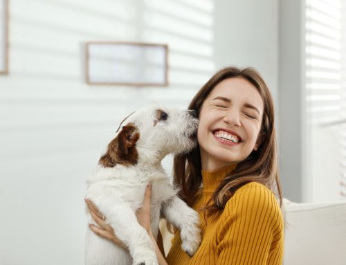 Making Introductions—What New Pet Owners Should Know
